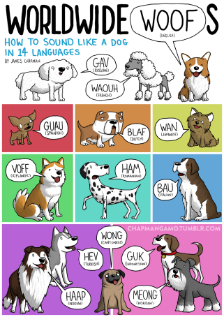 Pets In English  Guessing Game 